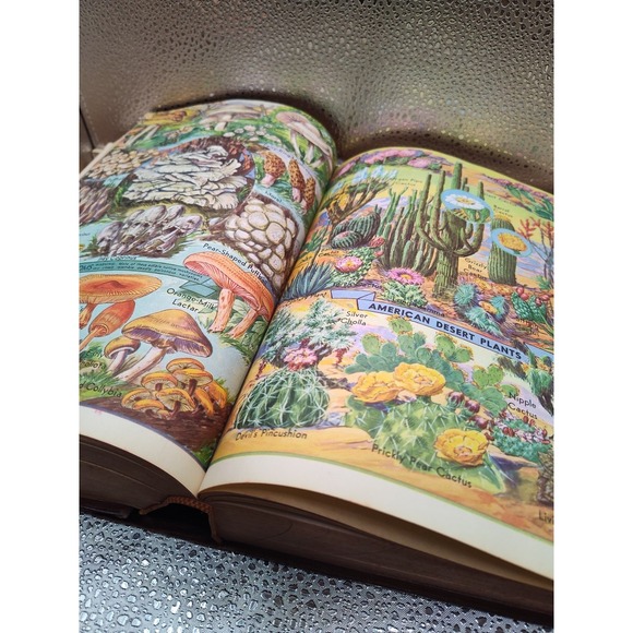 The Giant Book of Essential Knowledge The Practical‎ self educator